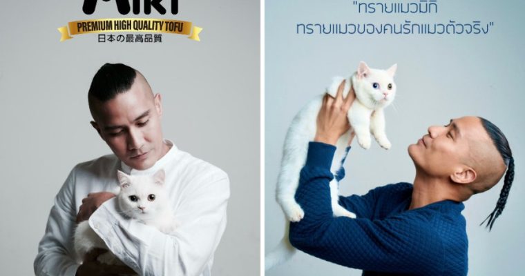 “แบงค์ ปรีติ” เปิดตัว“MiKi ทรายแมวเต้าหู้เกล็ด”ทาสแมวเป็นเหตุ! สู่การเป็นเจ้าของธุรกิจทรายแมวเต้าหู้เกล็ด