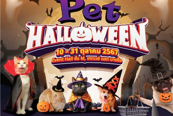 ศูนย์การค้า เกทเวย์ แอท บางซื่อ เชิญชวนทุกคนมาหลอนแบบคิ้วด์ๆ ไปพร้อมกันกับเดอะแก๊งค์สี่ขาเพื่อนซี้และผองเพื่อนในเทศกาลฮาโลวีน